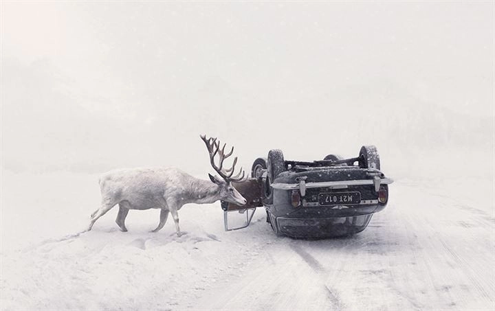 2018 Dünya Fotoğraf Yarışması'nın kazananları