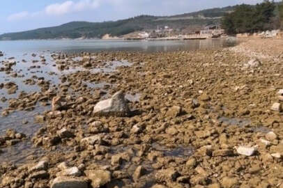 Saros Körfezi'nde deniz suyu çekildi 