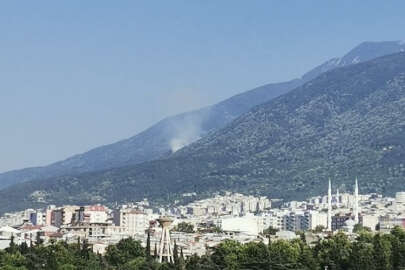 Bursa'da Uludağ eteklerinde yangın!