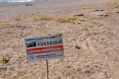 Antalya'da caretta caretta yuvası üzerinde mangal yaktılar