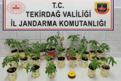 Tekirdağ'da jandarmadan uyuşturucu operasyonları!