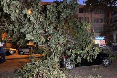 Ankara'da fırtına etkili oldu!