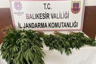 Balıkesir Erdek'de yasadışı uyuşturucu operasyonu!