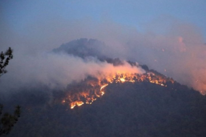 8 orman yangınlarından 7'si kontrol altına alındı