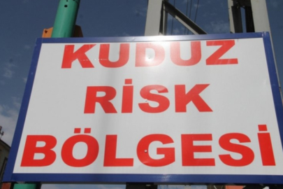 Niğde'de kuduz karantinası!