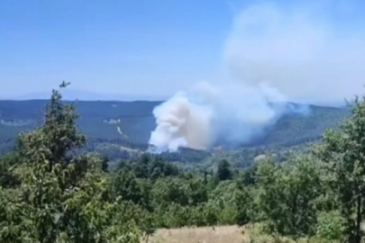 Bursa Keles'te orman yangını!