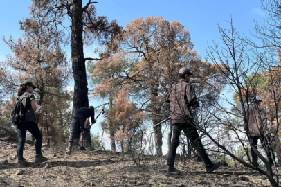 Bursa'da yangında zarar gören alan yeniden ormanlaştırılıyor