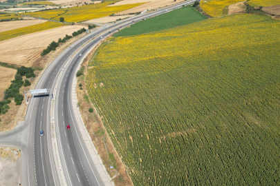 Tekirdağ'da ayçiçeği tarlaları sürücülere renkli manzara sunuyor