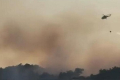 Edirne'de anız yangını ormana sıçradı! Müdahale sürüyor