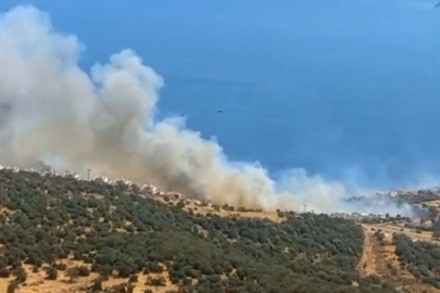 İzmir'de orman yangını: Bir site tahliye edildi