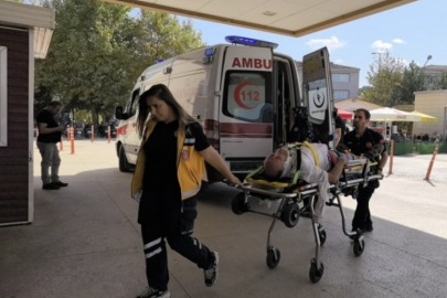 Bursa'da aynı ağaçtan düşen amca ve yeğen yaralandı