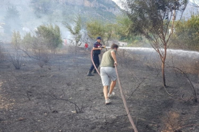 İşyerinden palmiyeye sıçrayan yangın korkuttu