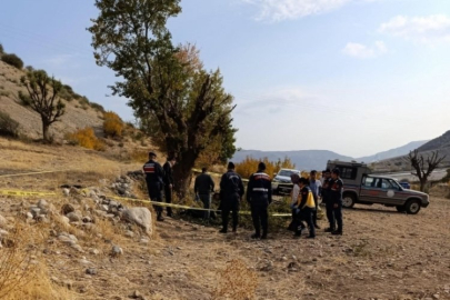 Ağaç budarken düşen yaşlı adam hayatını kaybetti