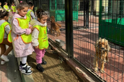 Bursa Osmangazi'de küçük hayvanseverlerden can dostlarına ziyaret