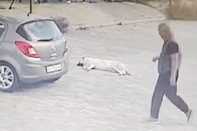 Otomobille köpeğin üzerinden geçti