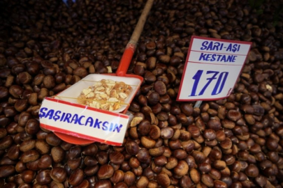 Türkiye'de pazara çıkan ithal Çin kestanesine Bursa'da bu yıl bolluk sebebiyle ilgi gösterilmiyor