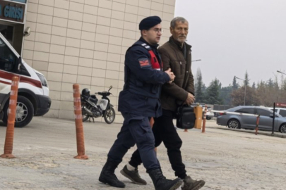 Bursa'da yasadışı kenevir yetiştiren 73 yaşındaki şahsı yakaladı