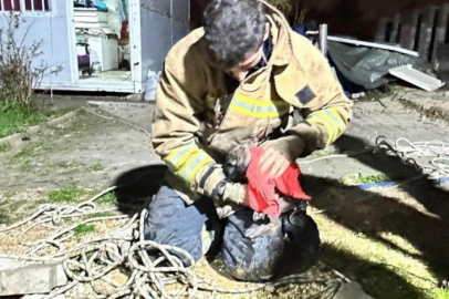 17 metre derinliğindeki kuyuya düşen köpeği itfaiye kurtardı