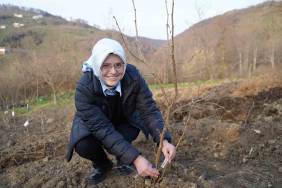 Fındık üreticisinin en büyük derdi tarih oluyor