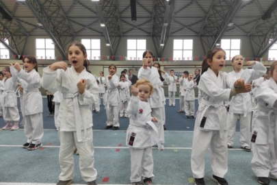 Bursa'da Osmangazi'de karate eğitim semineri